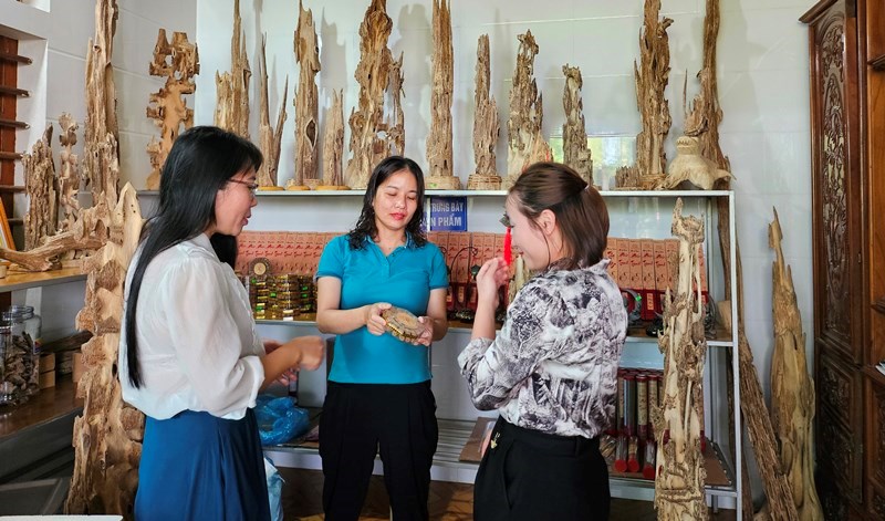 Cây dó trầm giúp người dân miền núi “thoát nghèo” - ảnh 6