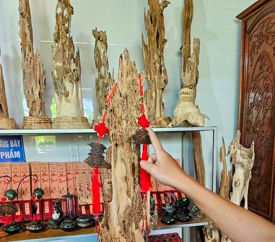 Cây dó trầm giúp người dân miền núi “thoát nghèo” - ảnh 2