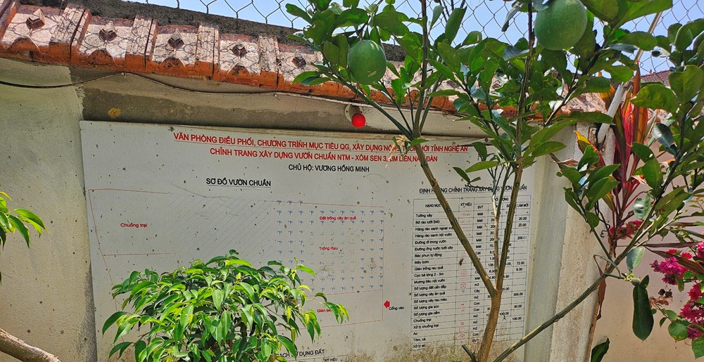 Vườn mẫu homestay, điểm nhấn du lịch trên quê Bác - ảnh 8