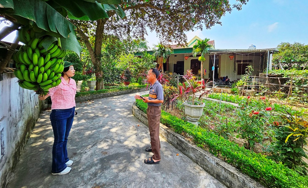 Vườn mẫu homestay, điểm nhấn du lịch trên quê Bác - ảnh 5