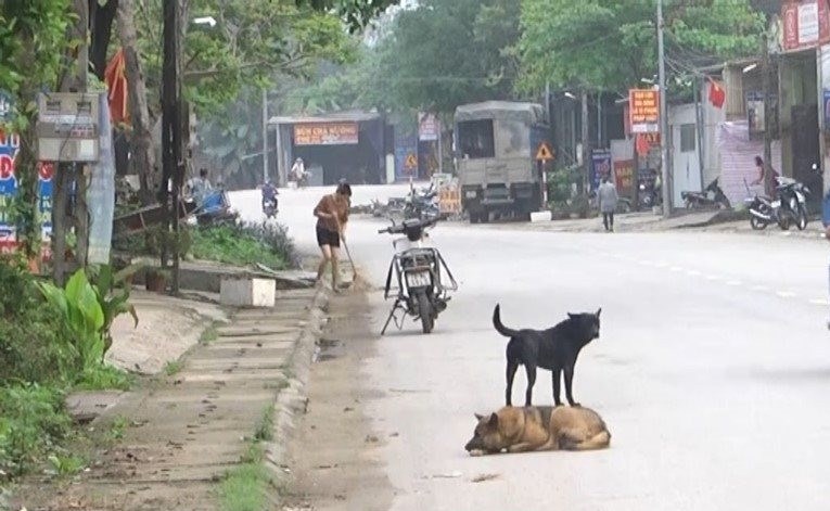 Điểm sáng vùng quê “phạt nguội” người nuôi chó thả rông - ảnh 1