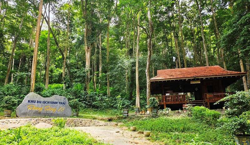 Khám phá vẻ đẹp rừng xăng lẻ nguyên sinh ở miền Tây xứ Nghệ - ảnh 1