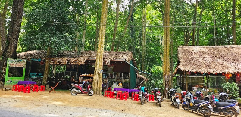 Khám phá vẻ đẹp rừng xăng lẻ nguyên sinh ở miền Tây xứ Nghệ - ảnh 8