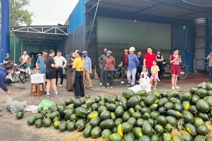 “Giải cứu” hàng tấn dưa hấu giúp tài xế xe tải gặp nạn - ảnh 2