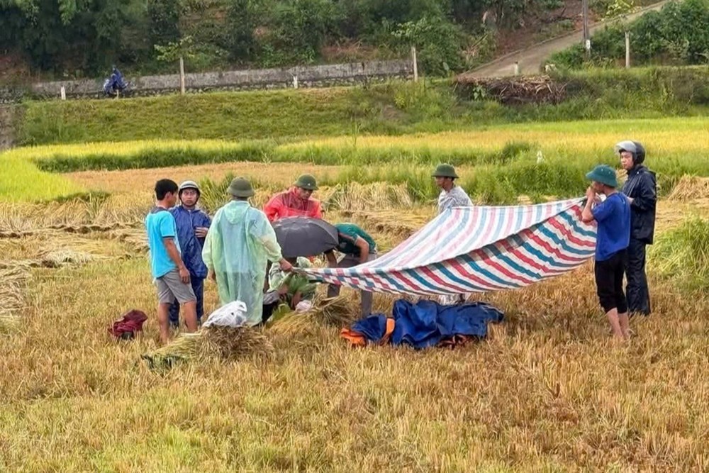 Liên tiếp hai người bị sét đánh tử vong giữa cánh đồng - ảnh 2