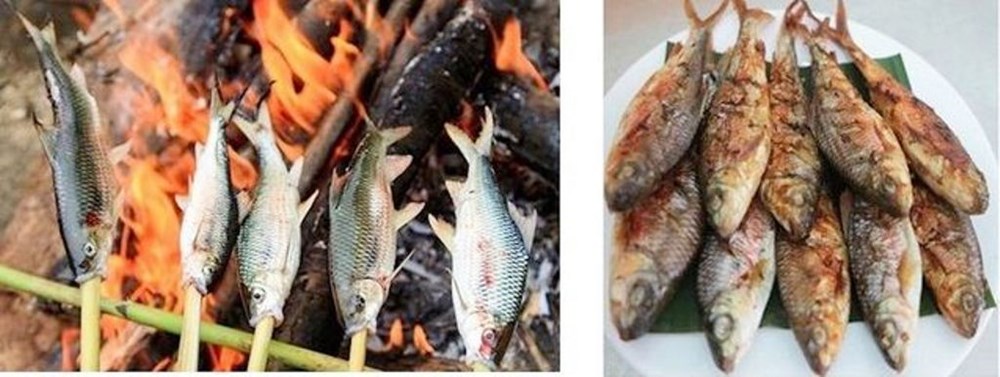 Giữ suối, dựng rào tuần tra bảo vệ “đặc sản” vùng cao - ảnh 3