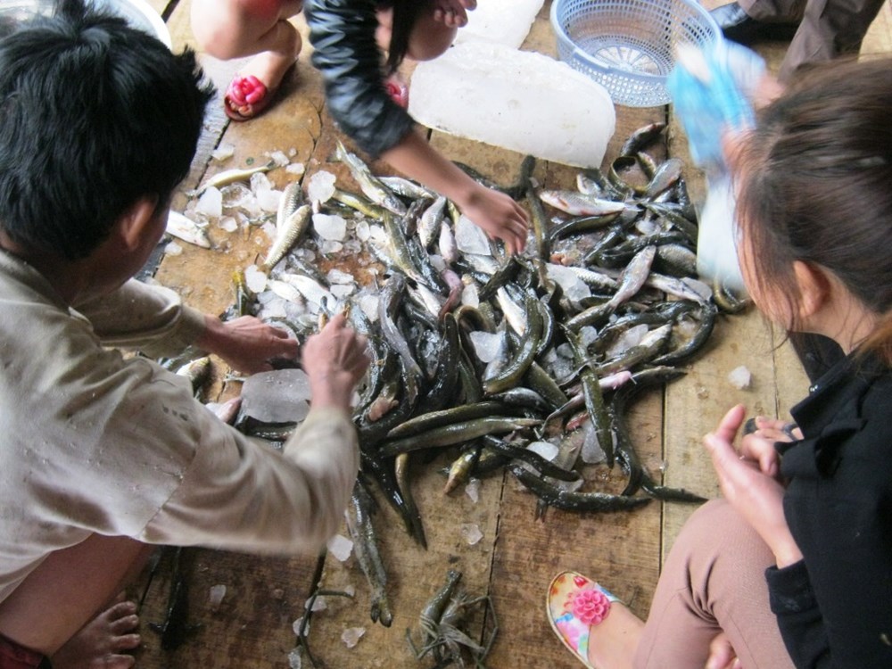 Giữ suối, dựng rào tuần tra bảo vệ “đặc sản” vùng cao - ảnh 4