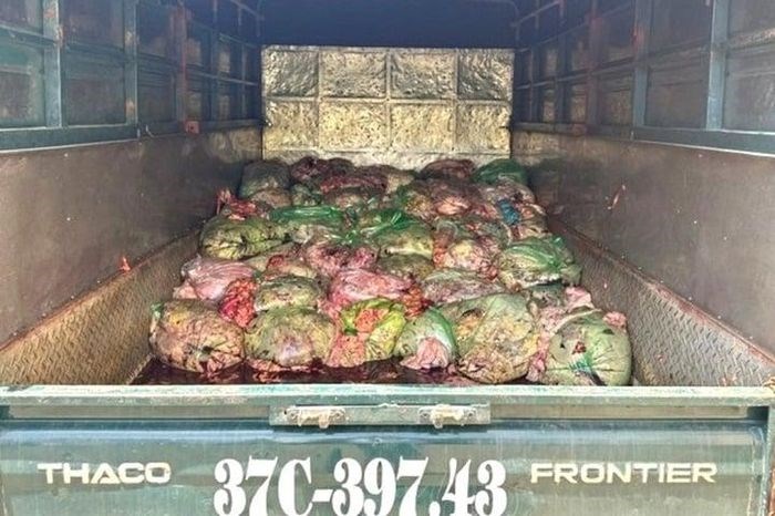 Kinh hoàng phát hiện xe tải chở 1,3 tấn nội tạng đã bốc mùi hôi thối - ảnh 1
