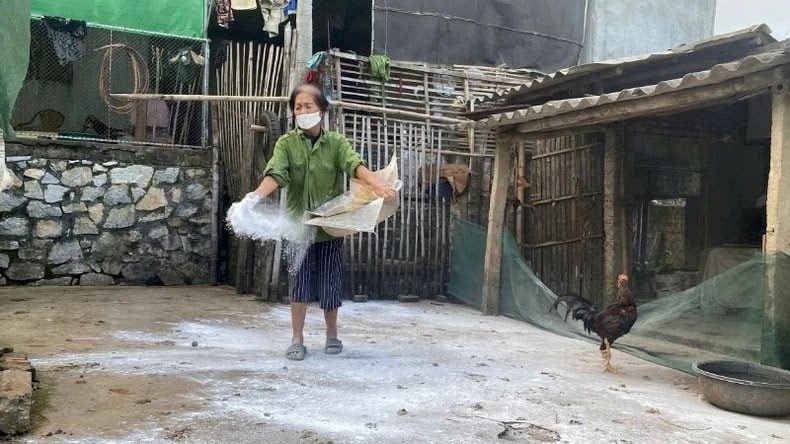 Dịch tả lợn châu Phi tái bùng phát, người dân thiệt hại nặng nề - ảnh 4