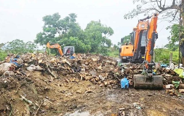 Xử lý bãi tập kết phế phẩm “nghĩa địa” đầu bò ô nhiễm - ảnh 1