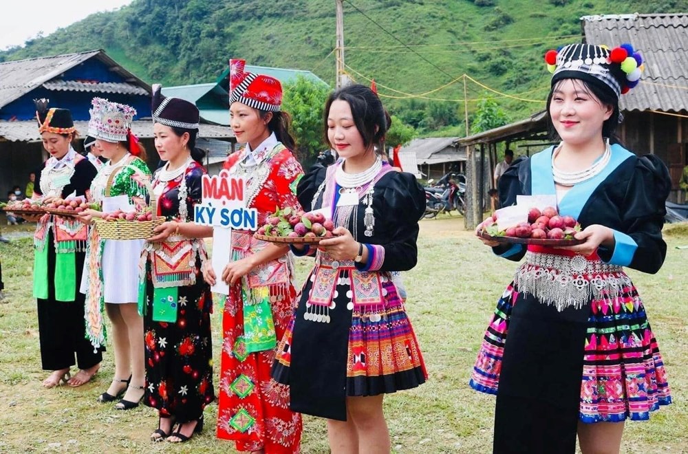 Cây mận tam hoa “đòn bẩy” thoát nghèo ở vùng biên xứ Nghệ - ảnh 2