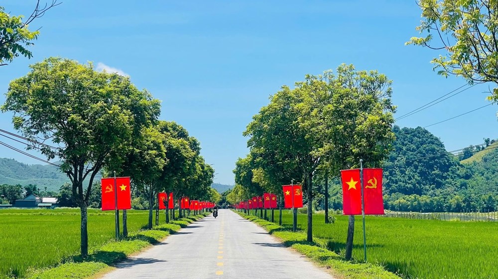 Rực rỡ sắc cờ hoa chào mừng Tết Độc lập - ảnh 6