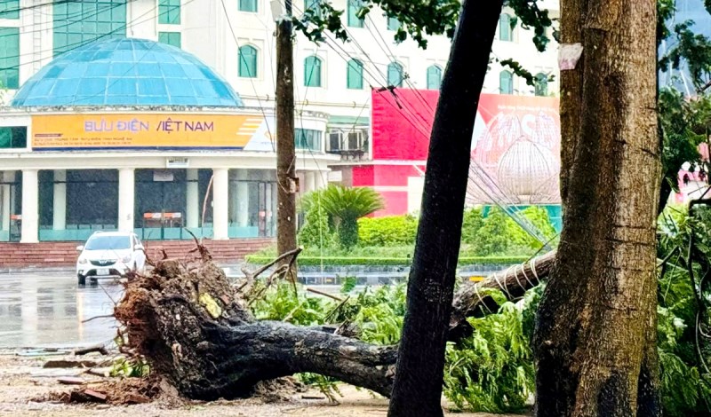 Bão số 5 quét vào Nghệ An, hàng loạt cây xanh gãy đổ, nhiều công trình hư hại - ảnh 7