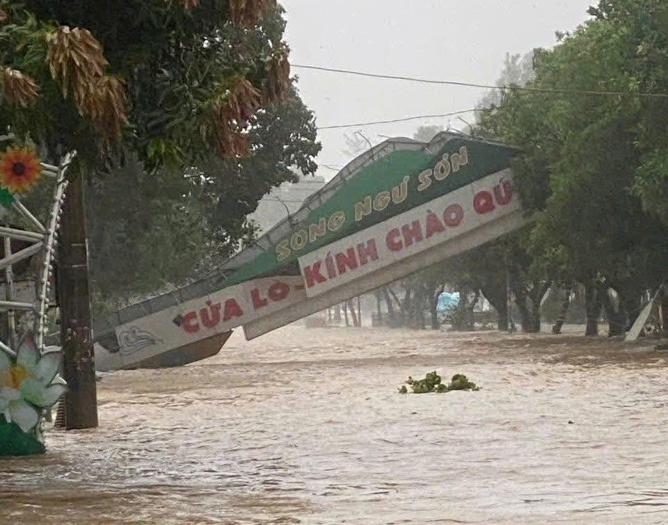 Bão số 5 quét vào Nghệ An, hàng loạt cây xanh gãy đổ, nhiều công trình hư hại - ảnh 1