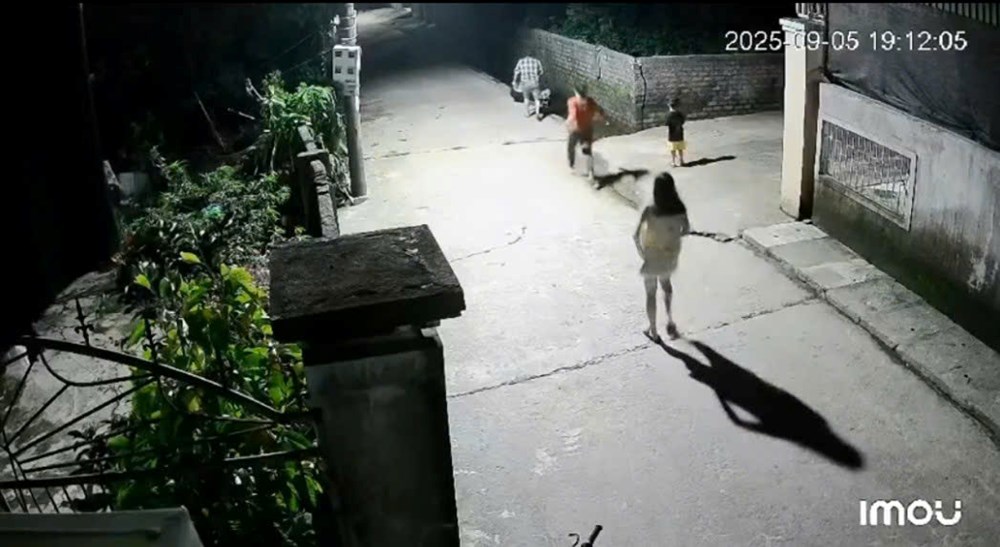 Bé 4 tuổi nhanh trí “giải cứu” em trai 2 tuổi rơi xuống mương nước - ảnh 1