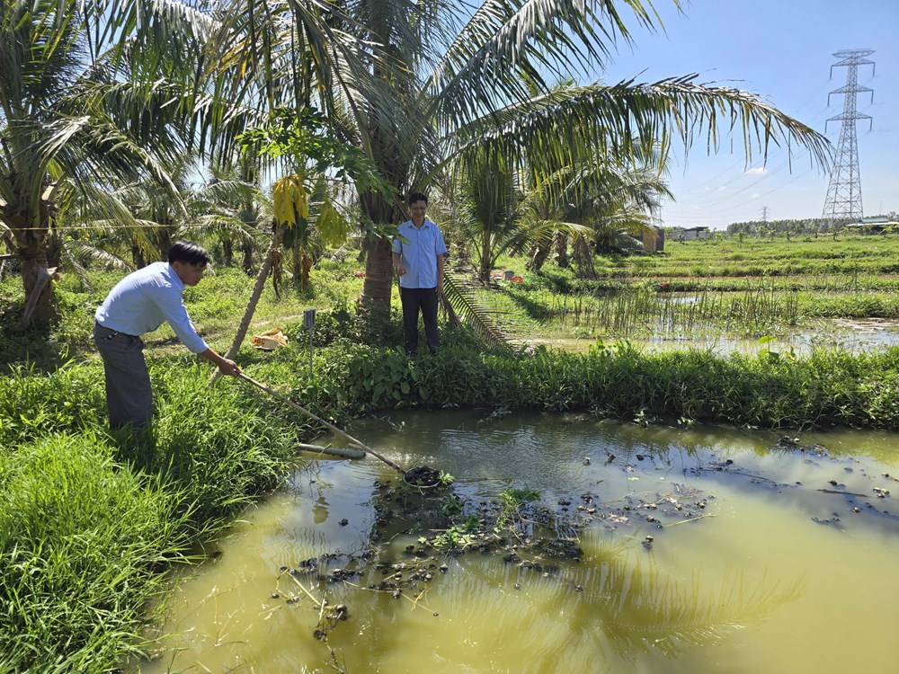 Phát triển kinh tế, thu nhập cao nhờ “đặc sản đồng quê”  - ảnh 4
