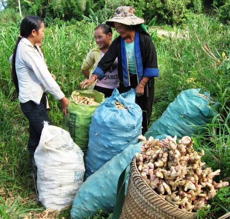 Dòng vốn “ngọt” tiếp sức khát vọng biên cương  - ảnh 5