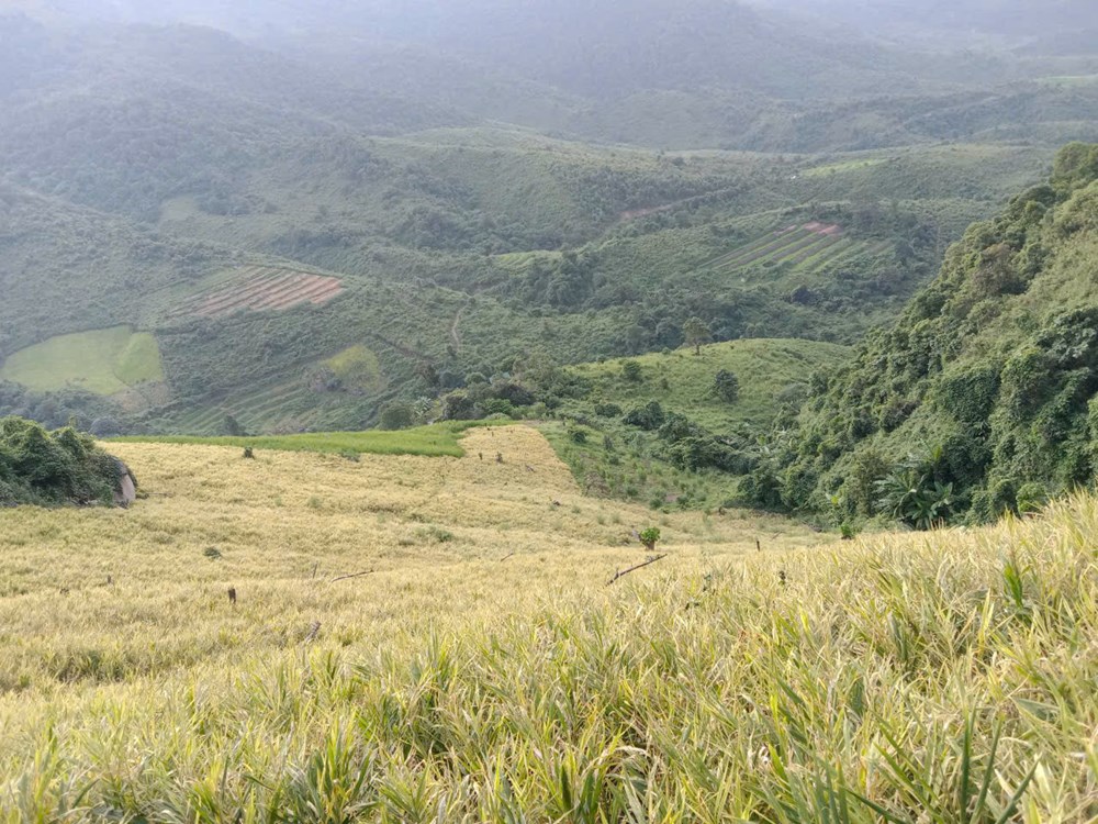 Dòng vốn “ngọt” tiếp sức khát vọng biên cương  - ảnh 4