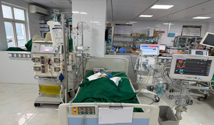 Bé gái 9 tuổi thoát chết sau khi bị ong vò vẽ đốt hơn 50 nốt - ảnh 1