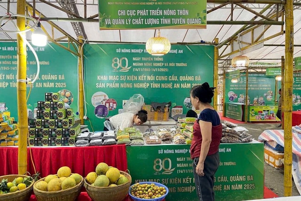 Thúc đẩy kết nối cung cầu sản phẩm nông nghiệp Nghệ An 2025 - ảnh 3