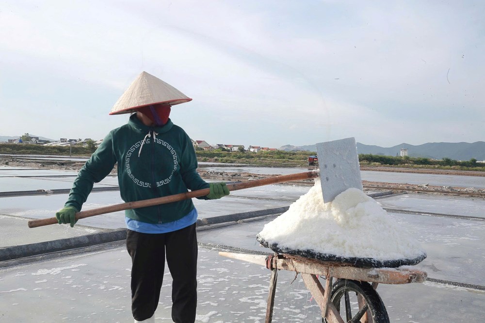 Diêm dân tăng giá trị “hạt ngọc trời” nhờ hướng sản xuất mới - ảnh 1