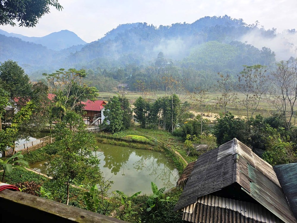 Nghệ An đón khoảng 9,9 triệu lượt khách du lịch trong năm 2025 - ảnh 3