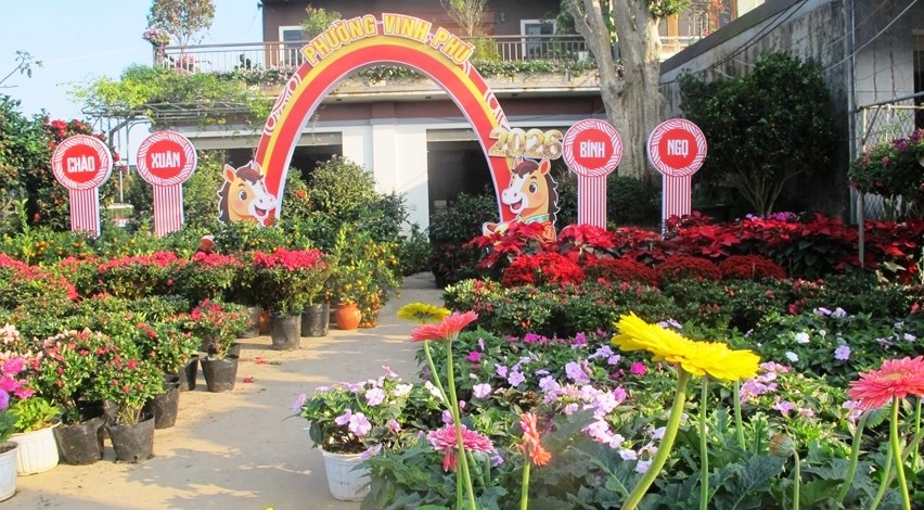 Làng hoa, cây cảnh Nghệ An tất bật, hối hả vào vụ Tết - ảnh 1