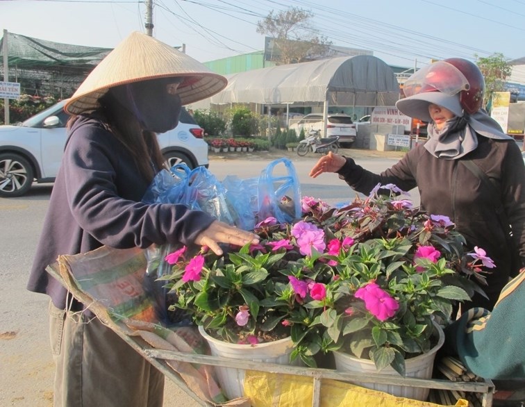 Làng hoa, cây cảnh Nghệ An tất bật, hối hả vào vụ Tết - ảnh 3