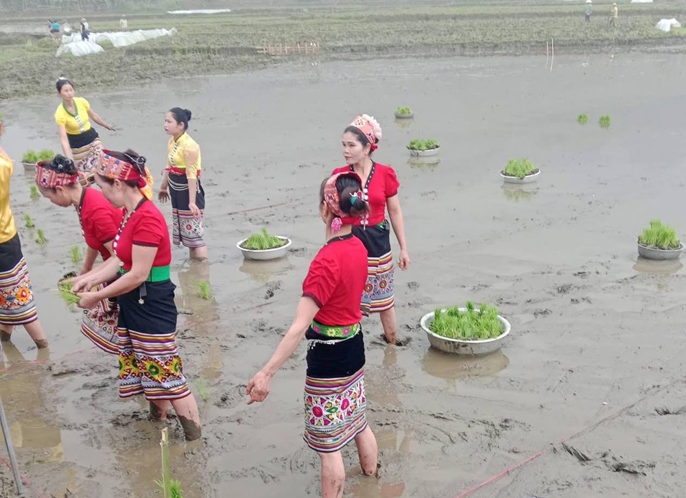 Rộn ràng sắc xuân Mường Chọng - ảnh 3