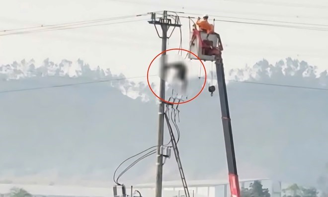 Phát hiện một nam sinh tử vong trên cột điện cao thế - ảnh 1