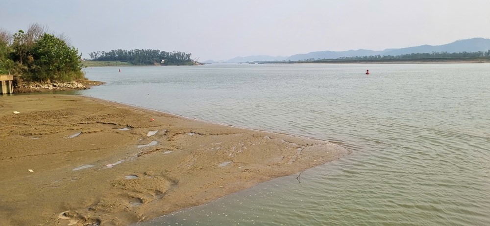 Nhiều trạm bơm thủy lợi thiếu nước vì bùn đất bồi lấp - ảnh 4