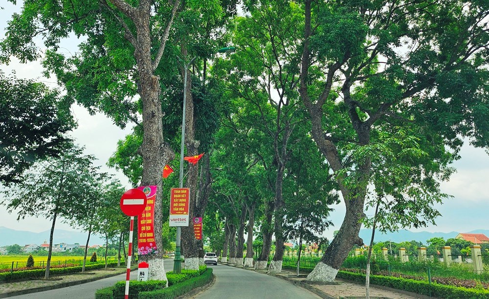 Tạm cấm đường, phân luồng giao thông phục vụ Lễ hội Làng Sen 2026 - ảnh 2