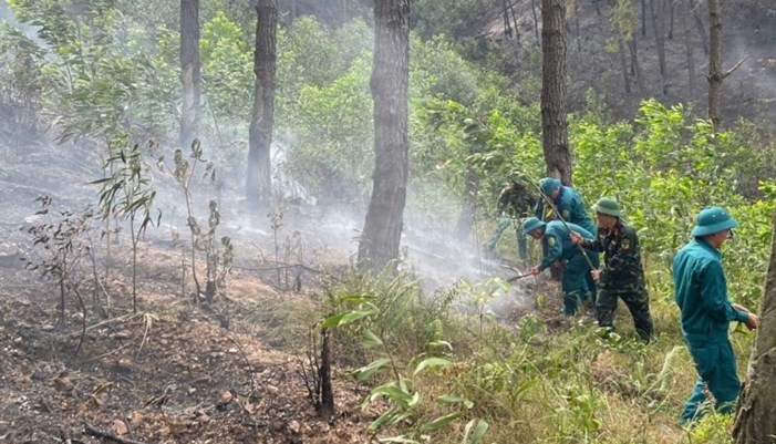 Căng mình dập lửa xuyên hai ngày đêm, cơ bản khống chế vụ cháy rừng ở Nghệ An - ảnh 1
