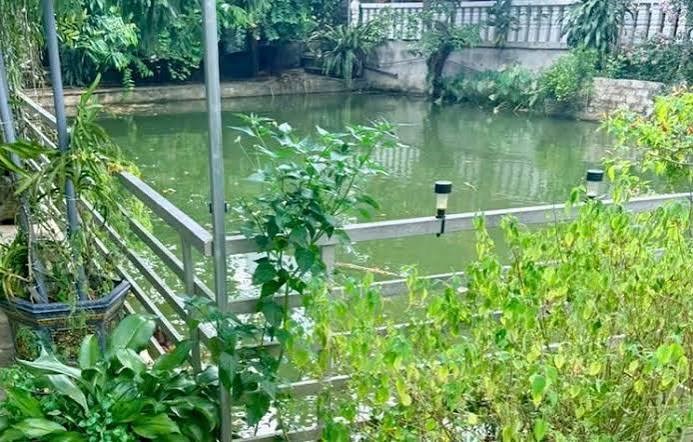 Thương tâm hai chị em ruột đuối nước dưới ao cạnh nhà - ảnh 1