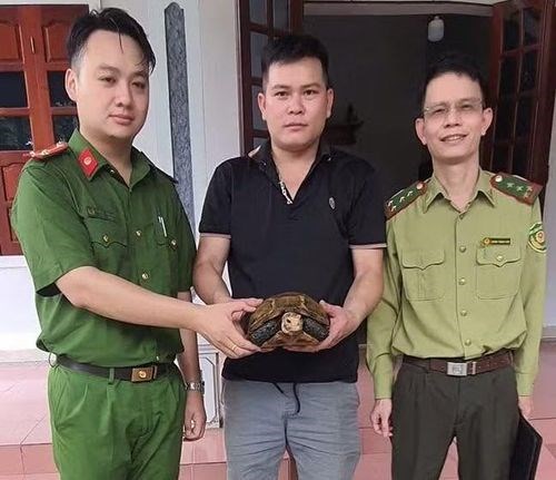 Liên tiếp cứu hộ động vật hoang dã quý hiếm, thả về môi trường tự nhiên - ảnh 1