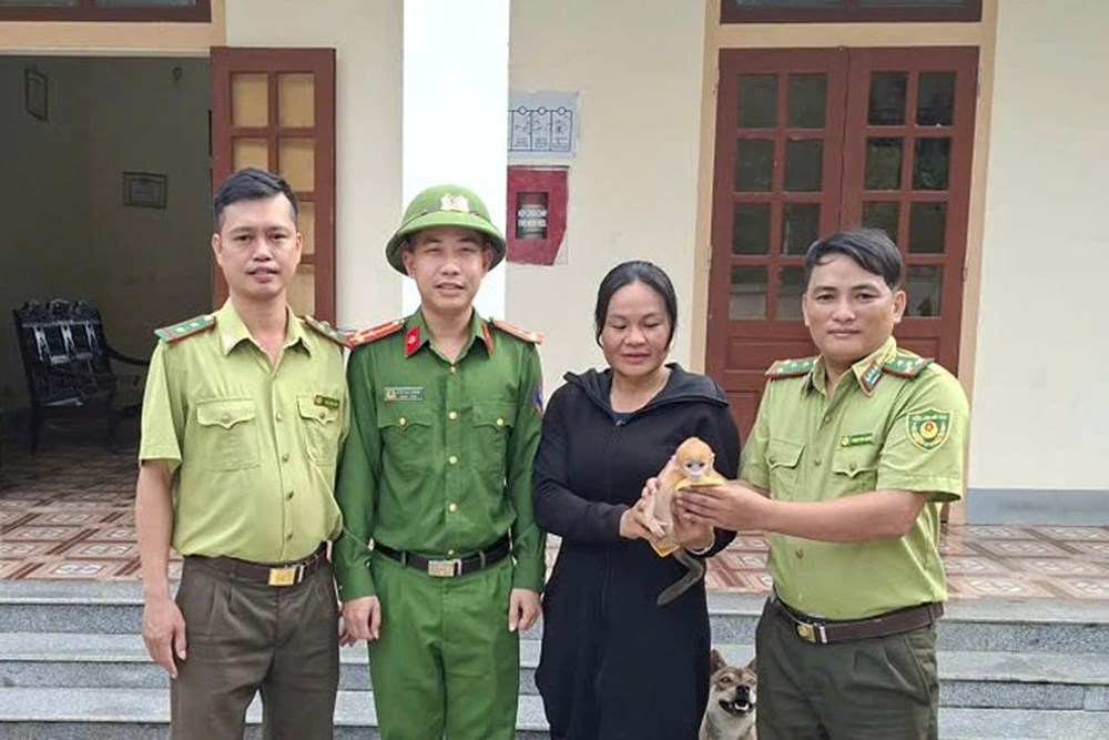 Liên tiếp cứu hộ động vật hoang dã quý hiếm, thả về môi trường tự nhiên - ảnh 2