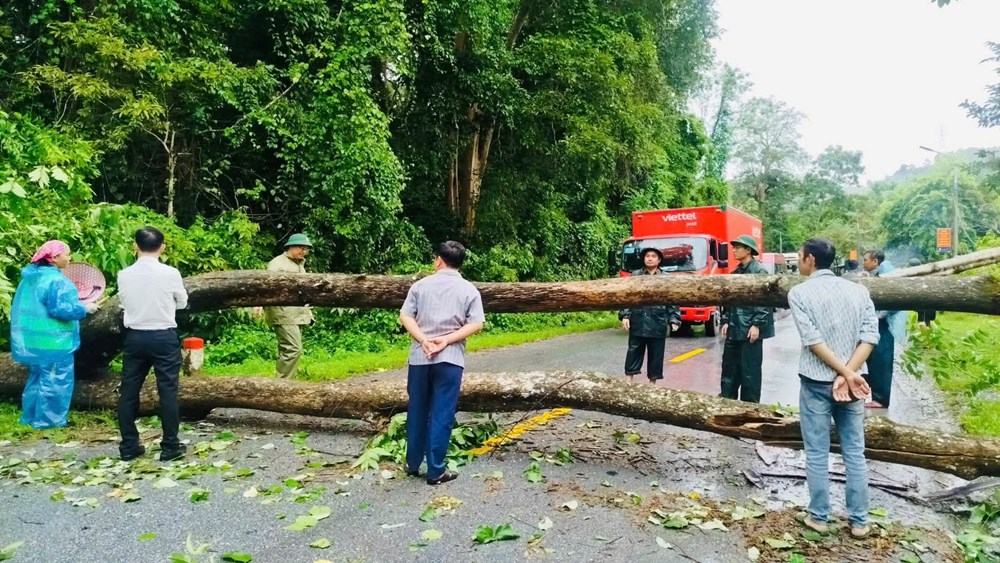 Mưa lớn gây chia cắt nhiều bản làng ở miền núi Nghệ An - ảnh 3