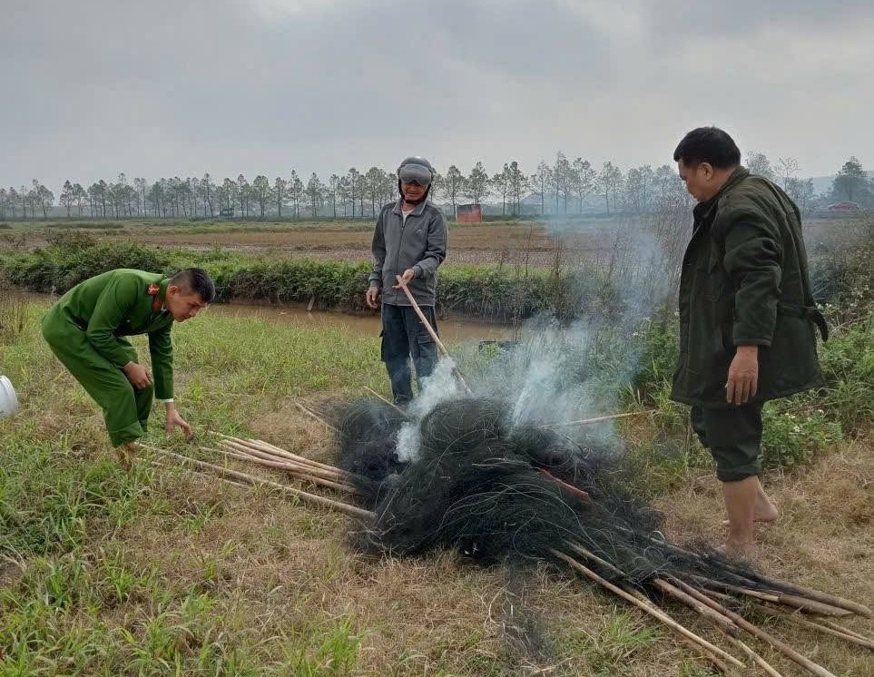 Gỡ “thiên la địa võng”, ngăn chặn nạn săn bắt chim trời - ảnh 1
