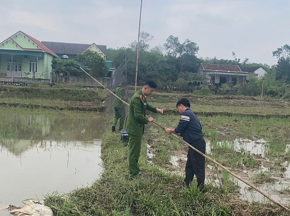Gỡ “thiên la địa võng”, ngăn chặn nạn săn bắt chim trời - ảnh 2