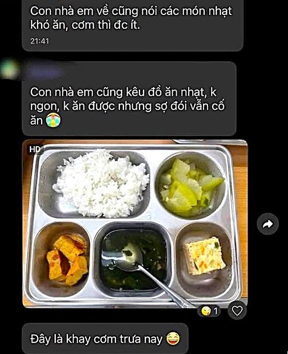 Suất ăn bán trú “khay nhiều, khay ít” tại trường tiểu học gây xôn xao ở Nghệ An - ảnh 1