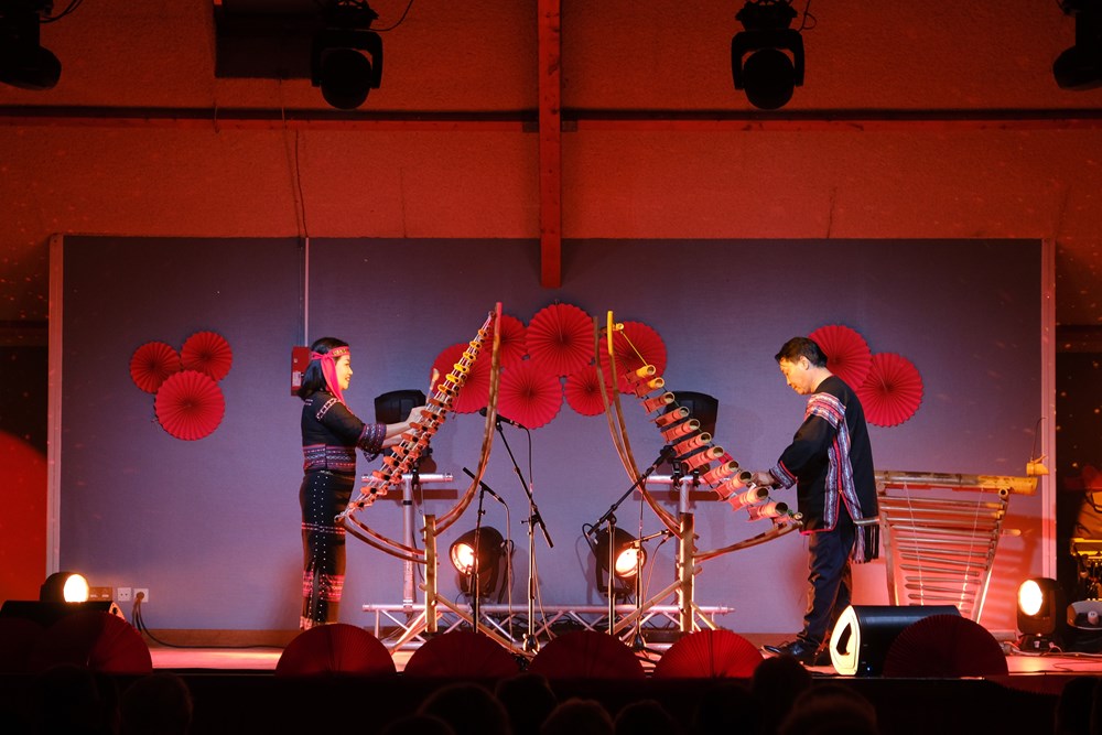 Lan tỏa văn hóa Việt Nam tại Nantes (Pháp) - ảnh 4