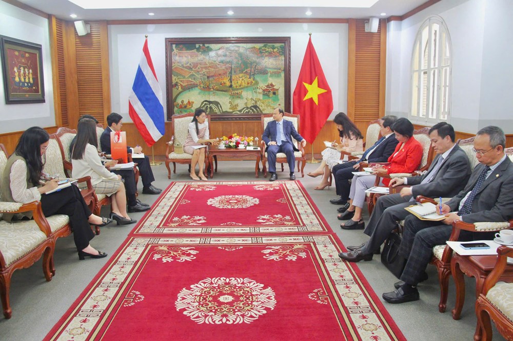 Nỗ lực phát triển quan hệ hợp tác VHTTDL lên tầm cao mới - ảnh 2
