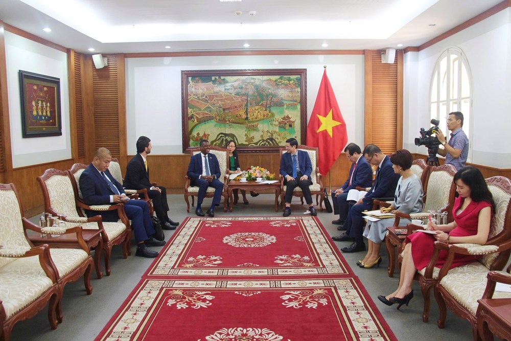 Thúc đẩy hợp tác VHTTDL - ảnh 2