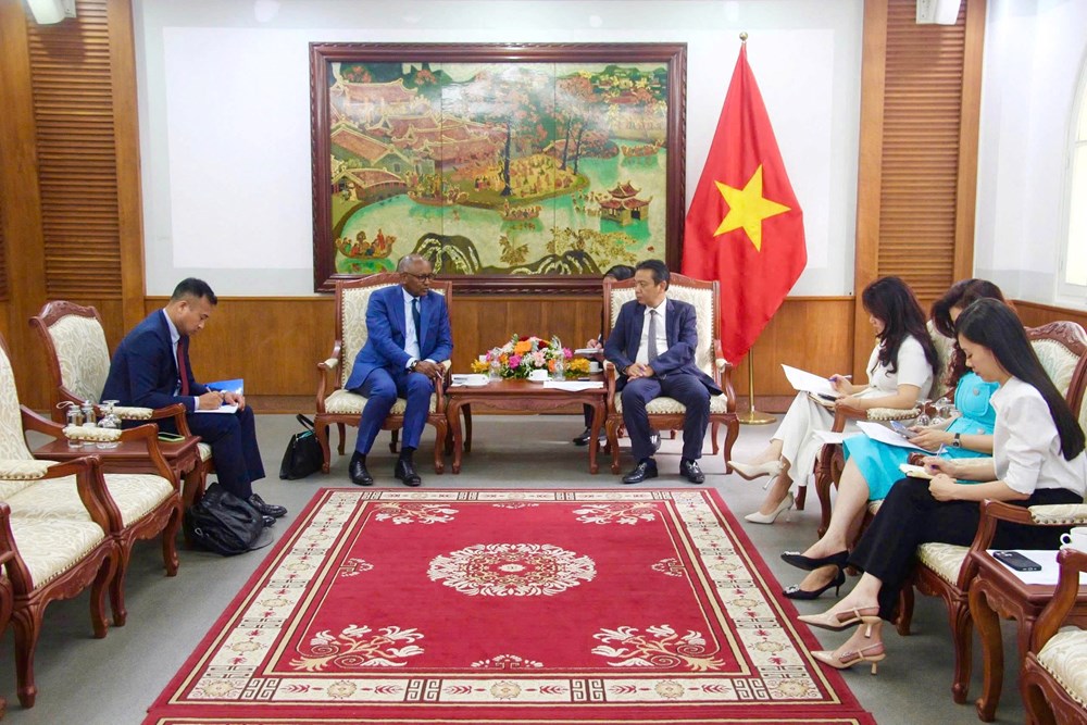 Thứ trưởng Hoàng Đạo Cương tiếp ứng cử viên Tổng Giám đốc UNESCO Firmin Edouard Matoko - ảnh 2