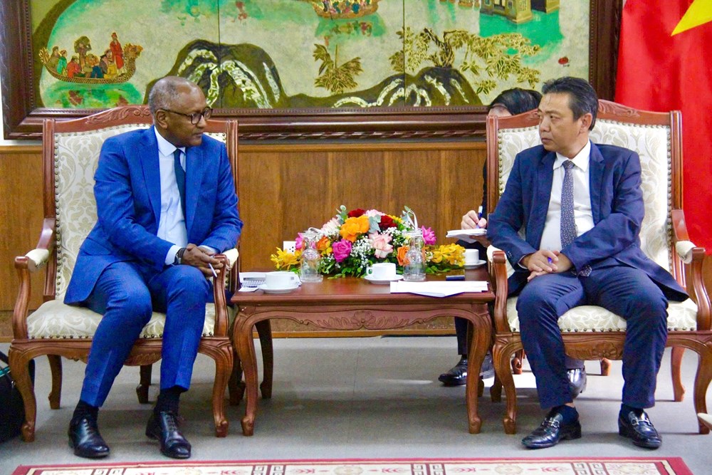 Thứ trưởng Hoàng Đạo Cương tiếp ứng cử viên Tổng Giám đốc UNESCO Firmin Edouard Matoko - ảnh 1