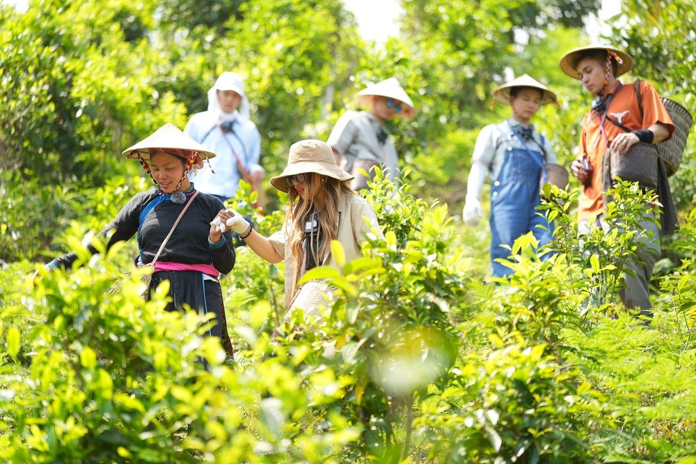 Đắm mình trong không gian văn hóa người Tày ở Bản Liền - ảnh 1