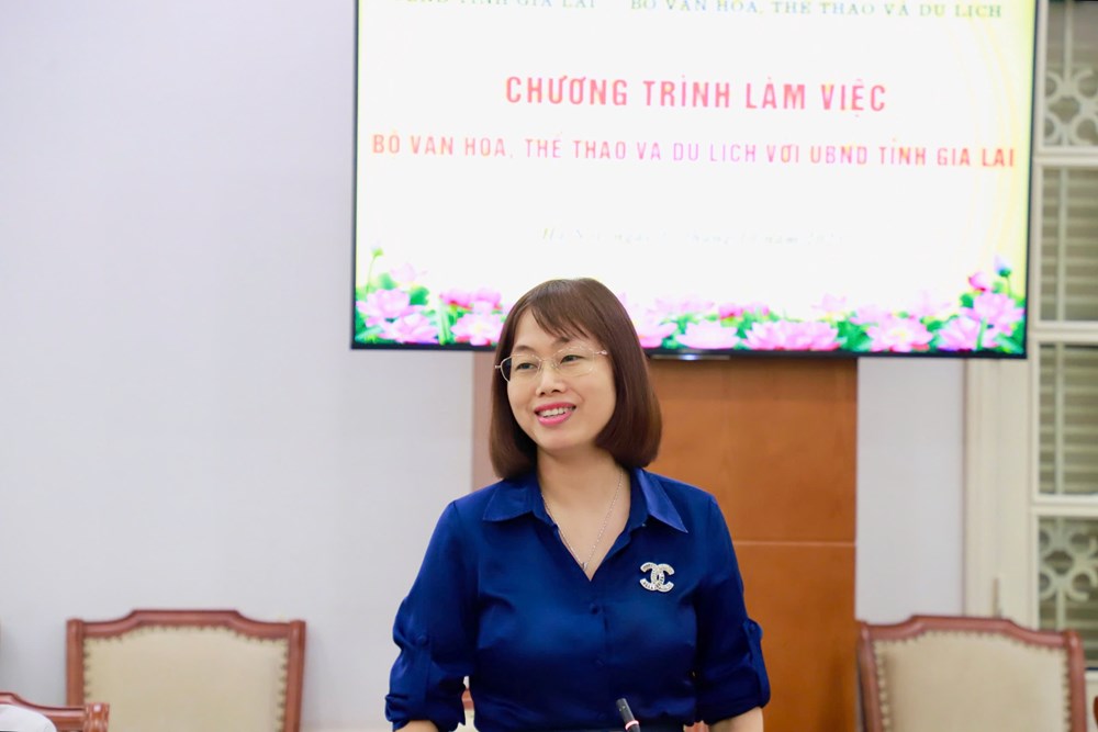 Phát triển hệ sinh thái VHTTDL hiện đại, đậm bản sắc đại ngàn và biển xanh tại Gia Lai - ảnh 6