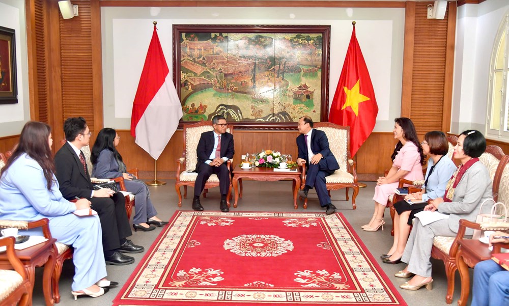 Thông qua VHTTDL làm sâu sắc hơn quan hệ Đối tác chiến lược toàn diện - ảnh 3