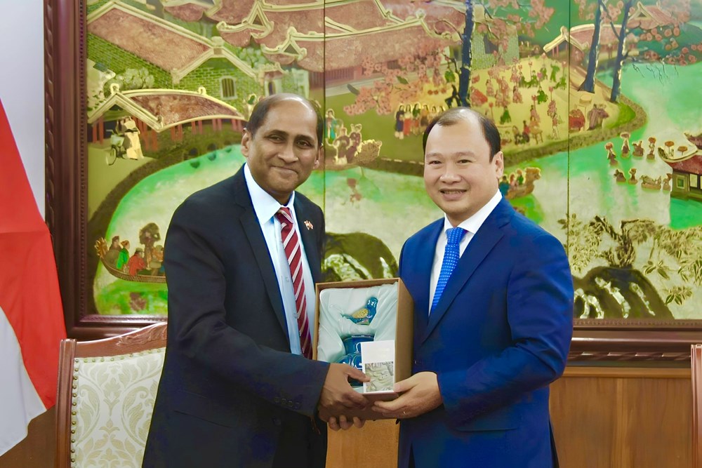 Tăng cường hợp tác phát triển công nghiệp văn hóa, thể thao và du lịch - ảnh 3