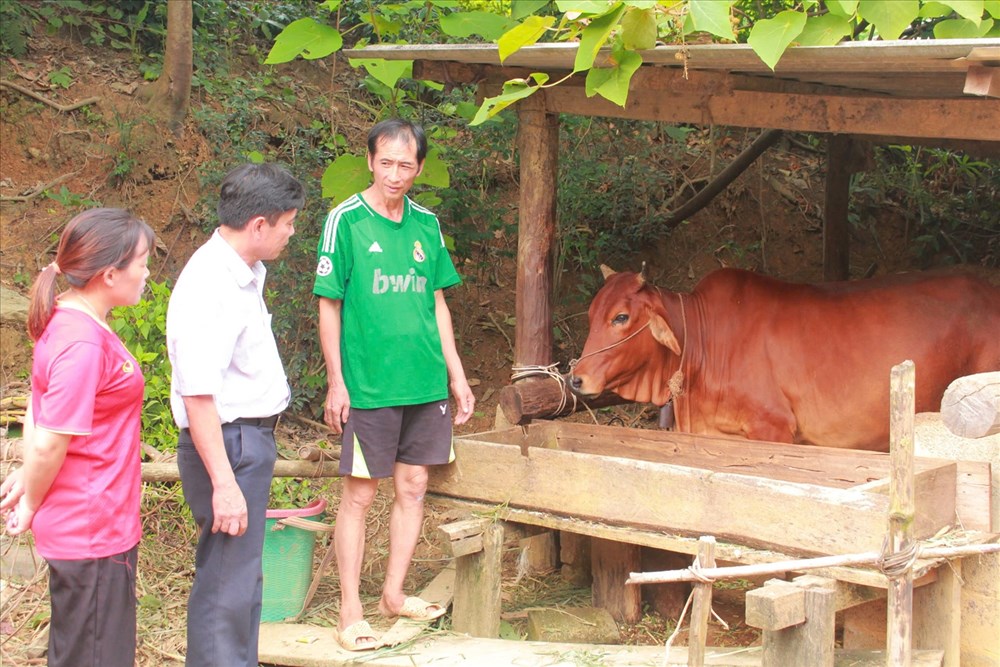 Thái Nguyên phân bổ nguồn lực, đẩy mạnh thực hiện mục tiêu giảm nghèo bền vững - ảnh 1